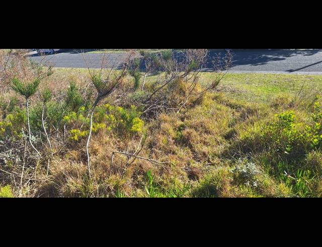 LAND FOR SALE IN DANA BAY